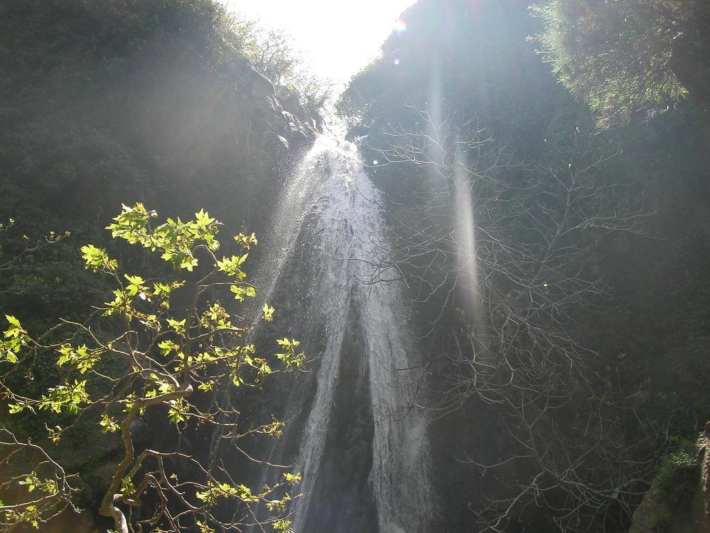 Elia * Palekastro
